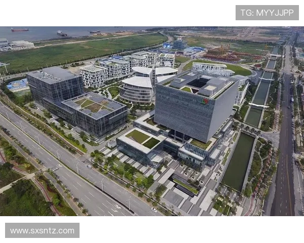 九台农商银行创新发展助力地方经济腾飞金融服务与科技融合展现新活力