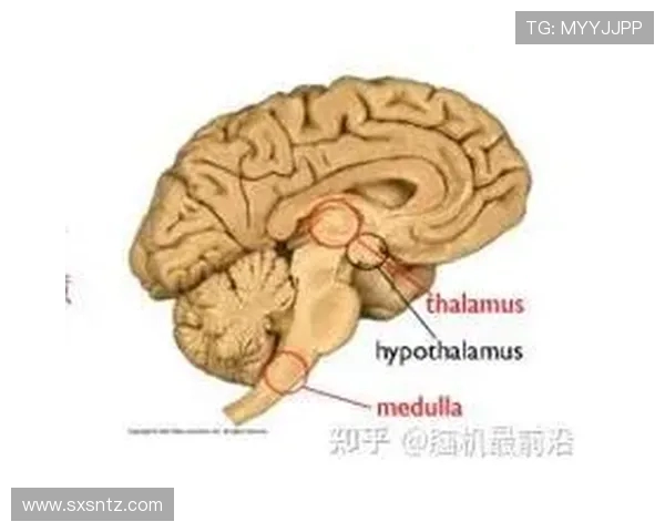 N9全面解析穿越火线中的传奇武器与战术运用深度探秘