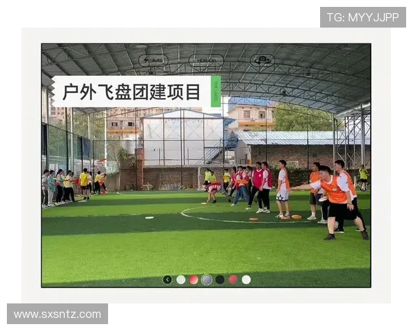 飞盘竞技的魅力:深入了解西安飞盘队员的个人技能与团队协作